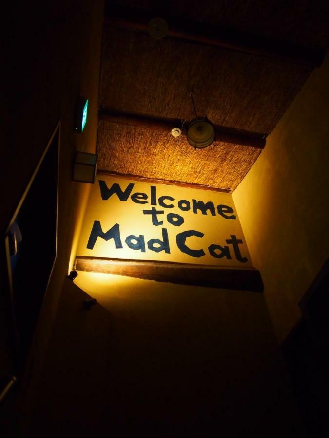 Mad Cat Hostel Osaka&Bar Exteriör bild